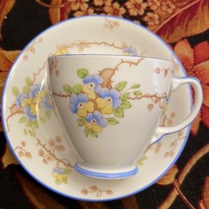 Vintage Sampson Smith Tea Cup snd Saucer Set
